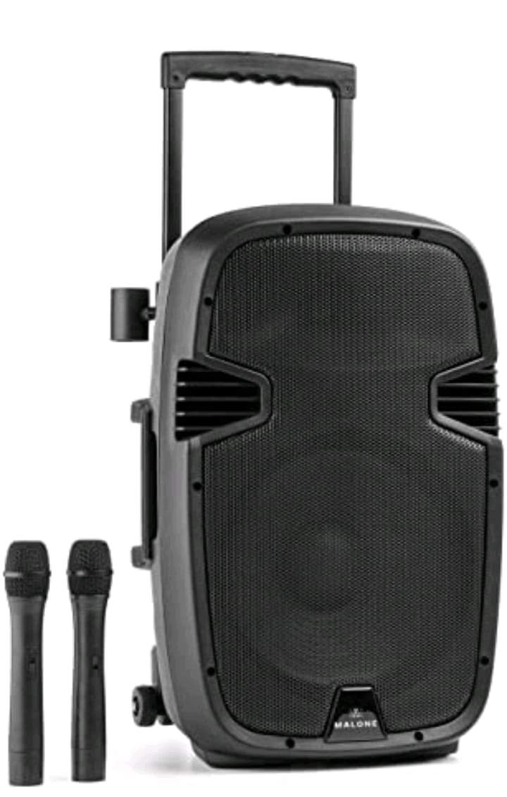 Rechargeable Speaker with 2 Mic